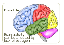 brain activity can be affected by lack of estrogen during menopause