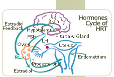 women may suffer from severe mood changes during HRT