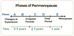 perimenopause period phase before menopause