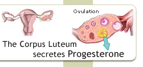 Progesterone deficiency symptoms