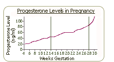 progesterone production increases during pregnancy