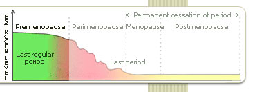 Treatments for all the Symptoms of Premenopause