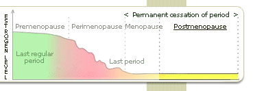 Learn and Understand Postmenopause like Professionals Do