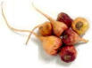 natural sources of high estrogens